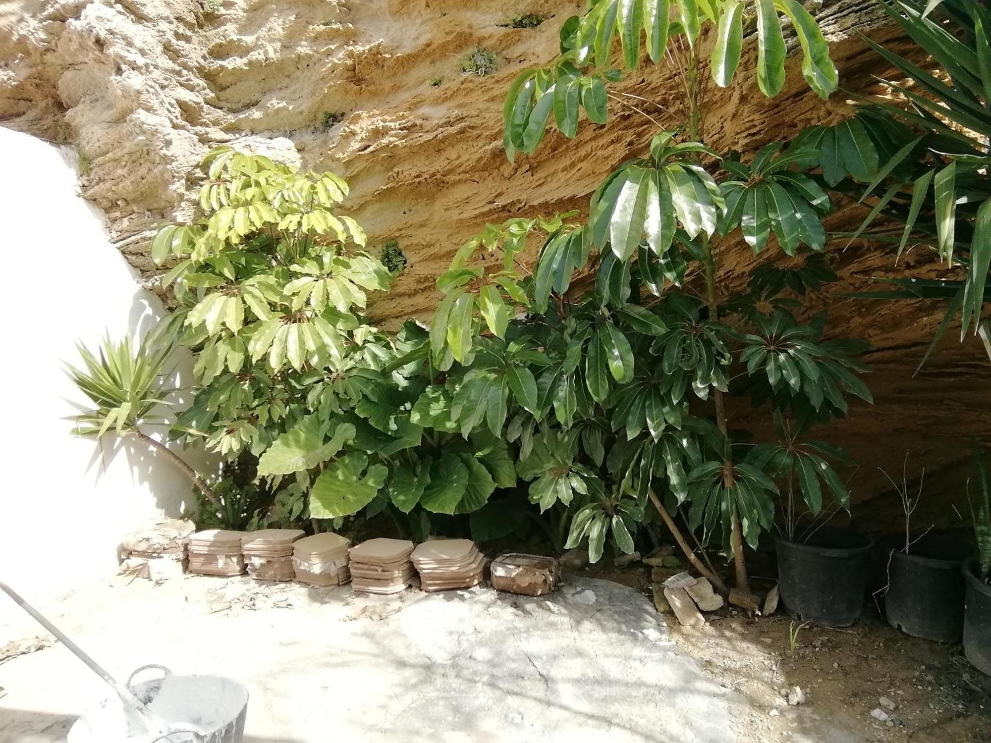 Surf House Playa Ξενοδοχείο Conil De La Frontera Εξωτερικό φωτογραφία